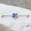 Stainless Steel Blue Clover Leaf Industrial Barbell