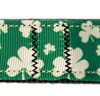 Shamrocks Nylon Pet Leash 1in by 4ft