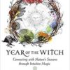 Year of the Witch by Temperance Alden