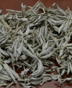 1 Pound California White Sage Fresh Cluster Herb Incense
