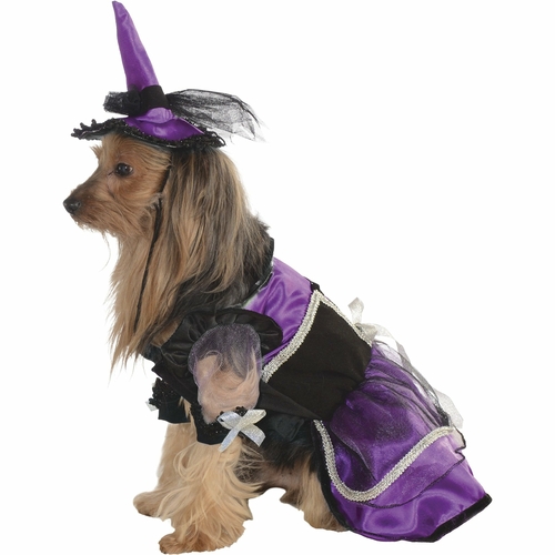 Purple Witch Pet Costume Enchanted Celt