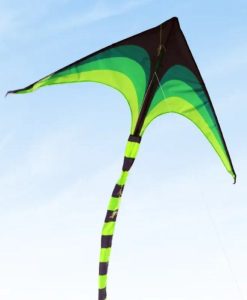 Large Delta Kite for Outdoor Sports