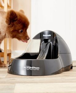 Advanced Purifying Pet Water Fountain with Quiet Operation