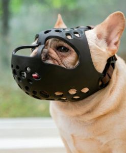 Short Snout Dog Muzzles