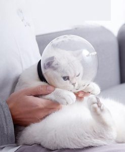 ComfortFit Transparent Cat Space Hood