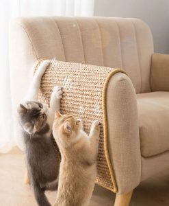Multi-Purpose Cat Scratching Mat