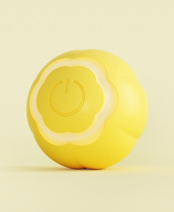 Interactive Magic Rolling Ball: Electric Toy for Indoor Cats