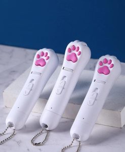 6-in-1 USB Rechargeable Pet Laser Toy with LED & UV Functions