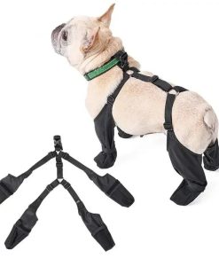 Adjustable Waterproof Dog Shoes for Outdoor Adventures